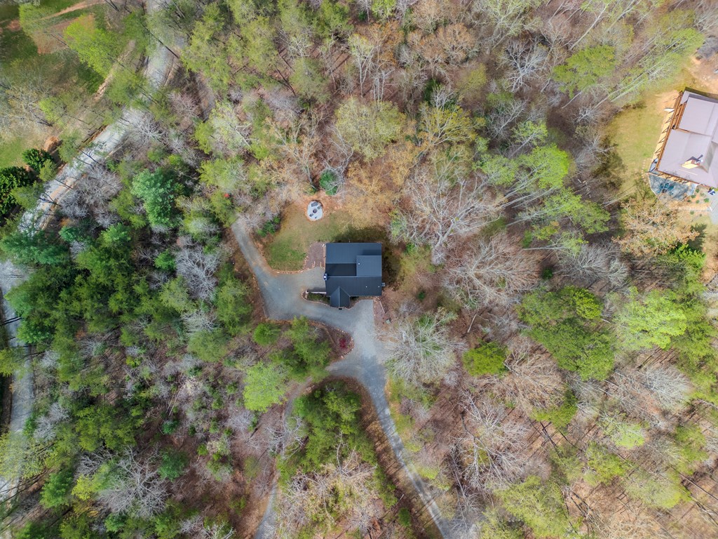 398 Dancing Trees Trail Morganton, GA 30560 - Photo 15 of 56