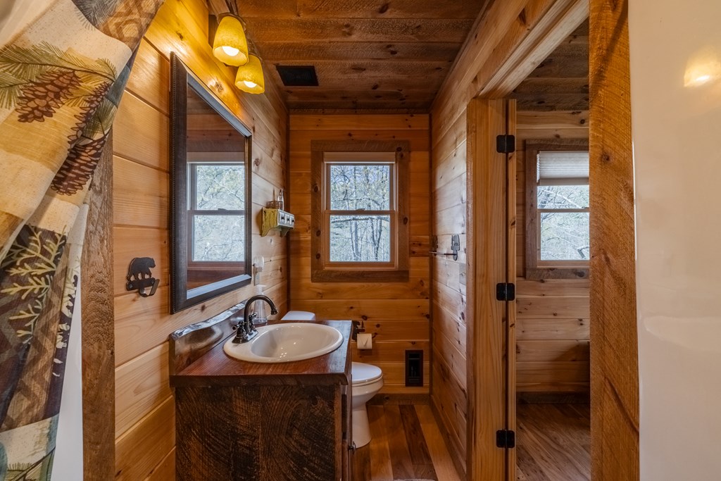 398 Dancing Trees Trail Morganton, GA 30560 - Photo 38 of 56