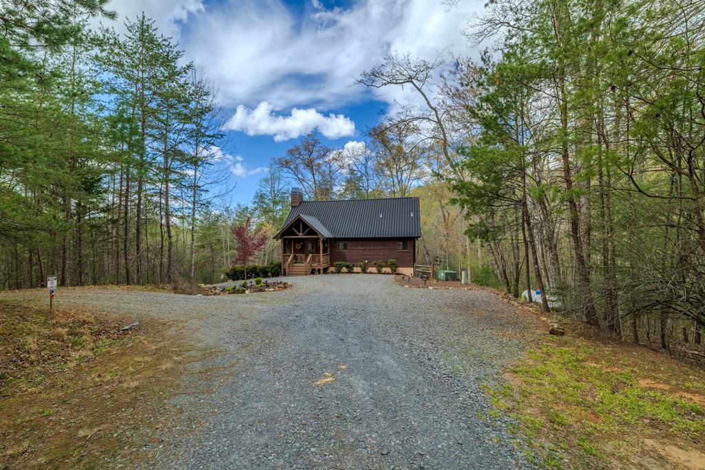 398 Dancing Trees Trail Morganton, GA 30560 - Photo 54 of 56