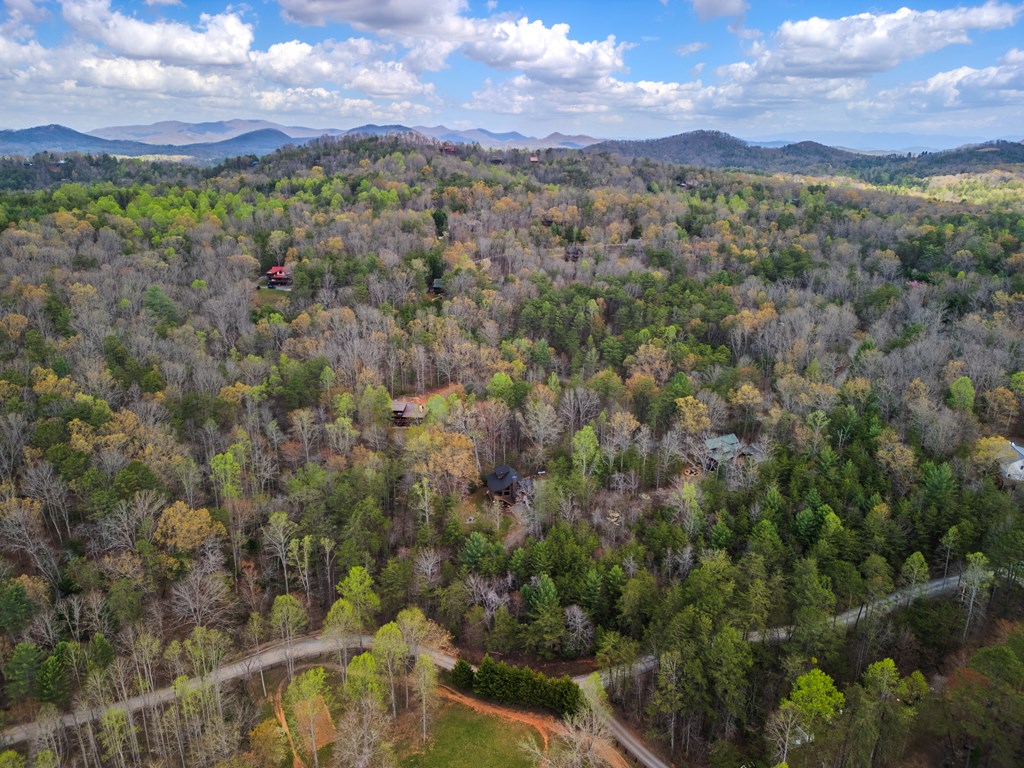 398 Dancing Trees Trail Morganton, GA 30560 - Photo 55 of 56