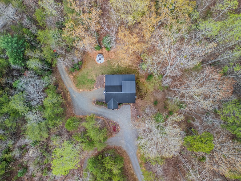 398 Dancing Trees Trail Morganton, GA 30560 - Photo 56 of 56