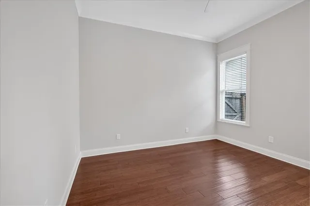 a view of backyard with large trees and plants