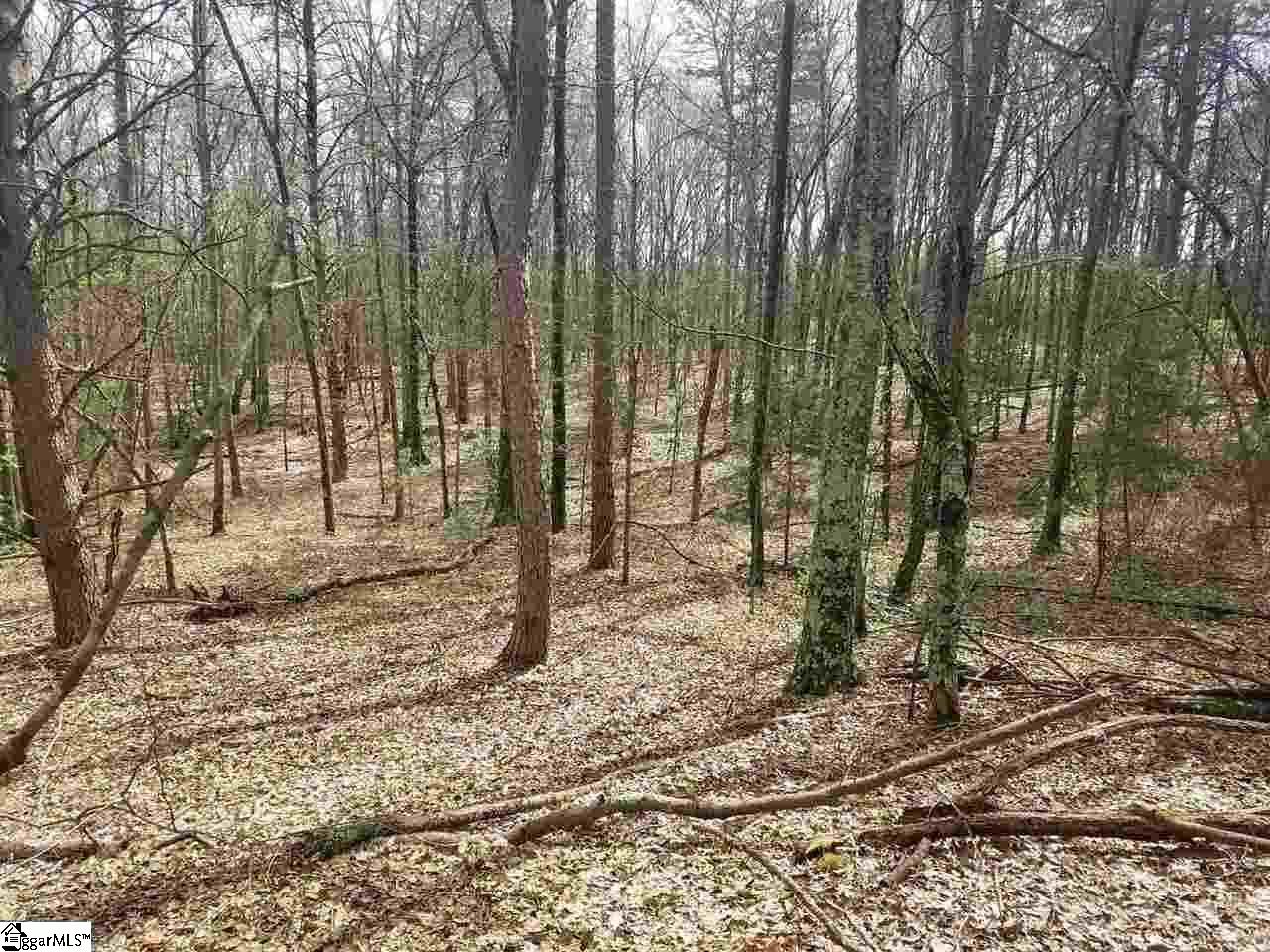 555 Dallas Road Greenville, SC 29607 - Photo 2 of 2 Gallery Image 2