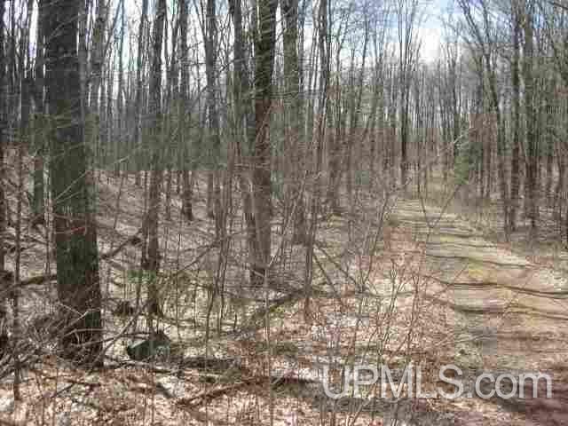 Tbd Thimbleberry Road Republic, MI 49879 - Photo 1 of 1 Gallery Image 1