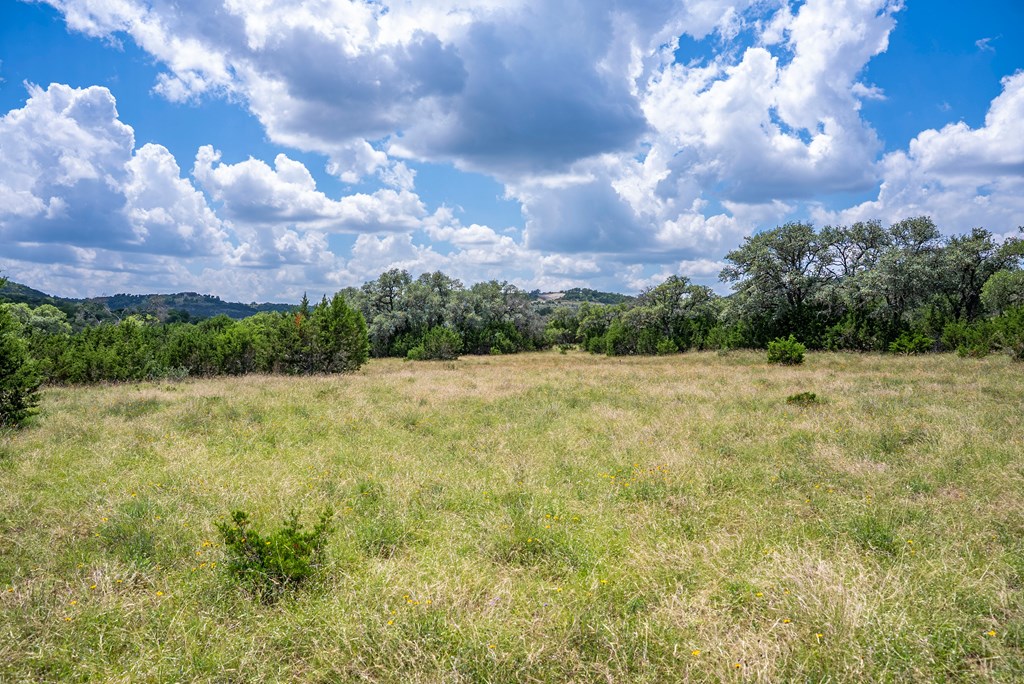 717 Bluff Ridge Trail, Unit 77 Blanco, TX 78606 - Photo 11 of 21