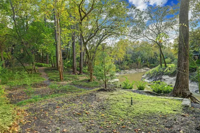 a view of a yard with a tree
