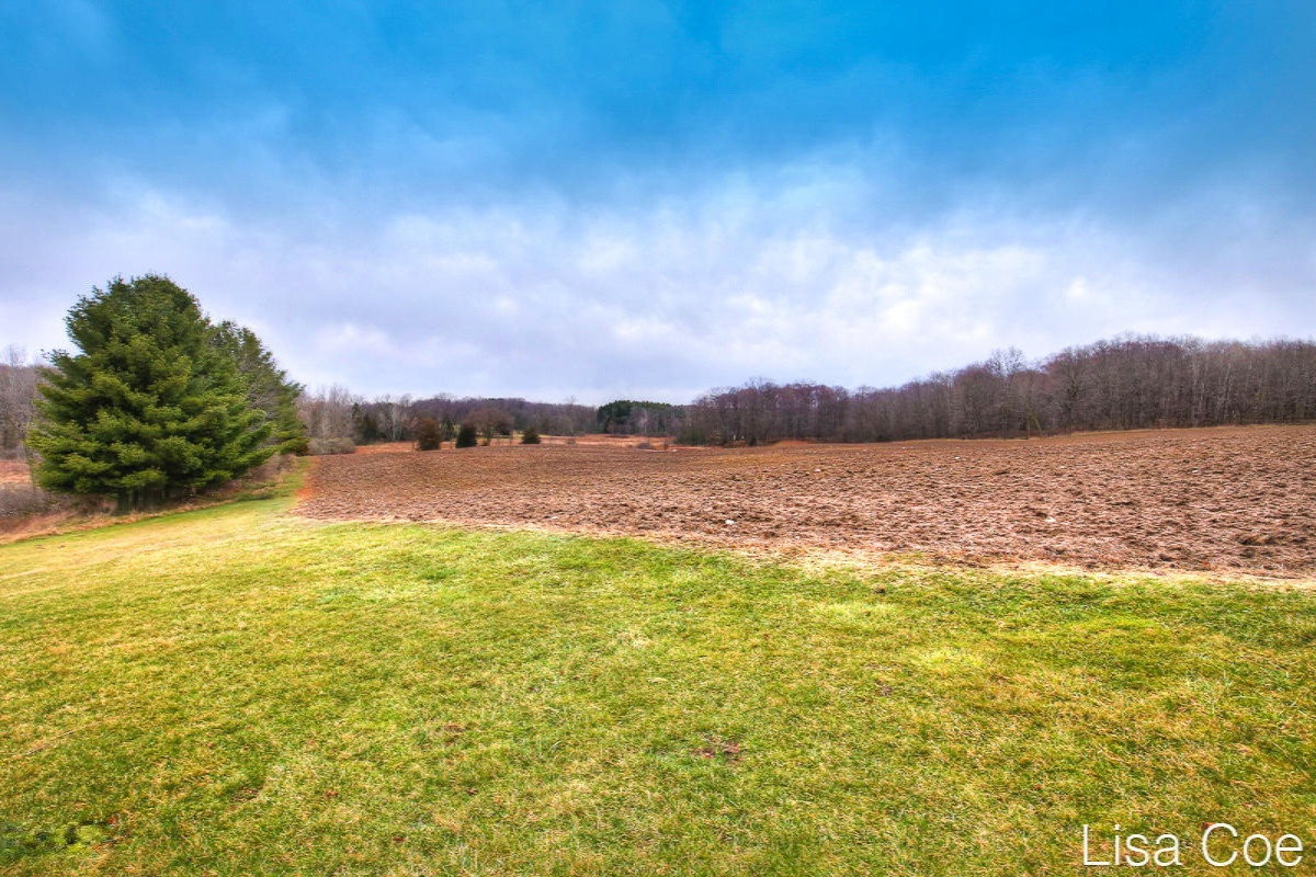 3119 East Tuttle Road Ionia, MI 48846 - Photo 8 of 38 3119 E Tuttle Rd -30