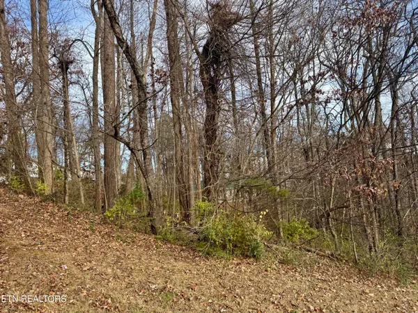 $15,000 | 271 Sequoyah Drive, Morristown, TN 37813