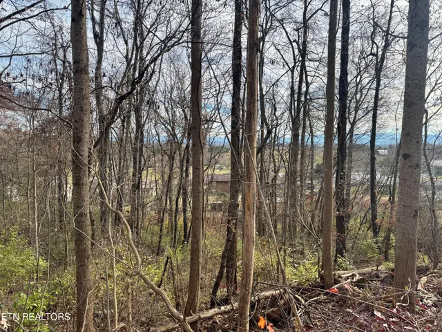 $30,000 | 271 Sequoyah Drive, Morristown, TN 37813