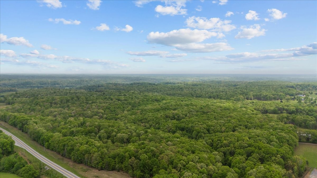 0 Indian Creek Road McEwen, TN 37101 - Photo 11 of 32 a view of a green field