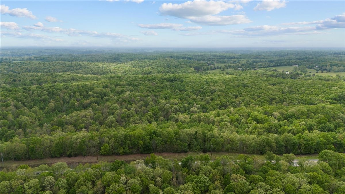 0 Indian Creek Road McEwen, TN 37101 - Photo 13 of 32 an aerial view of residential houses with outdoor space and trees