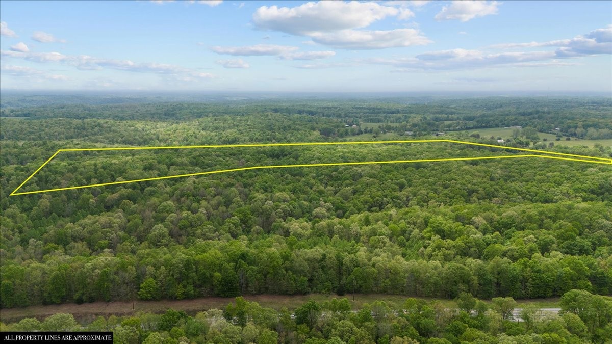 0 Indian Creek Road McEwen, TN 37101 - Photo 14 of 32 a view of a field and a houses