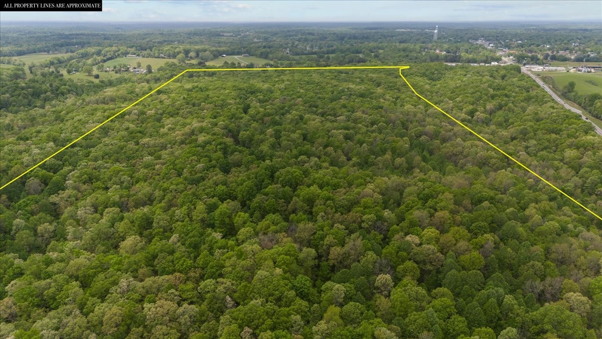 0 Indian Creek Road McEwen, TN 37101 - Photo 17 of 32 a view of a outdoor space