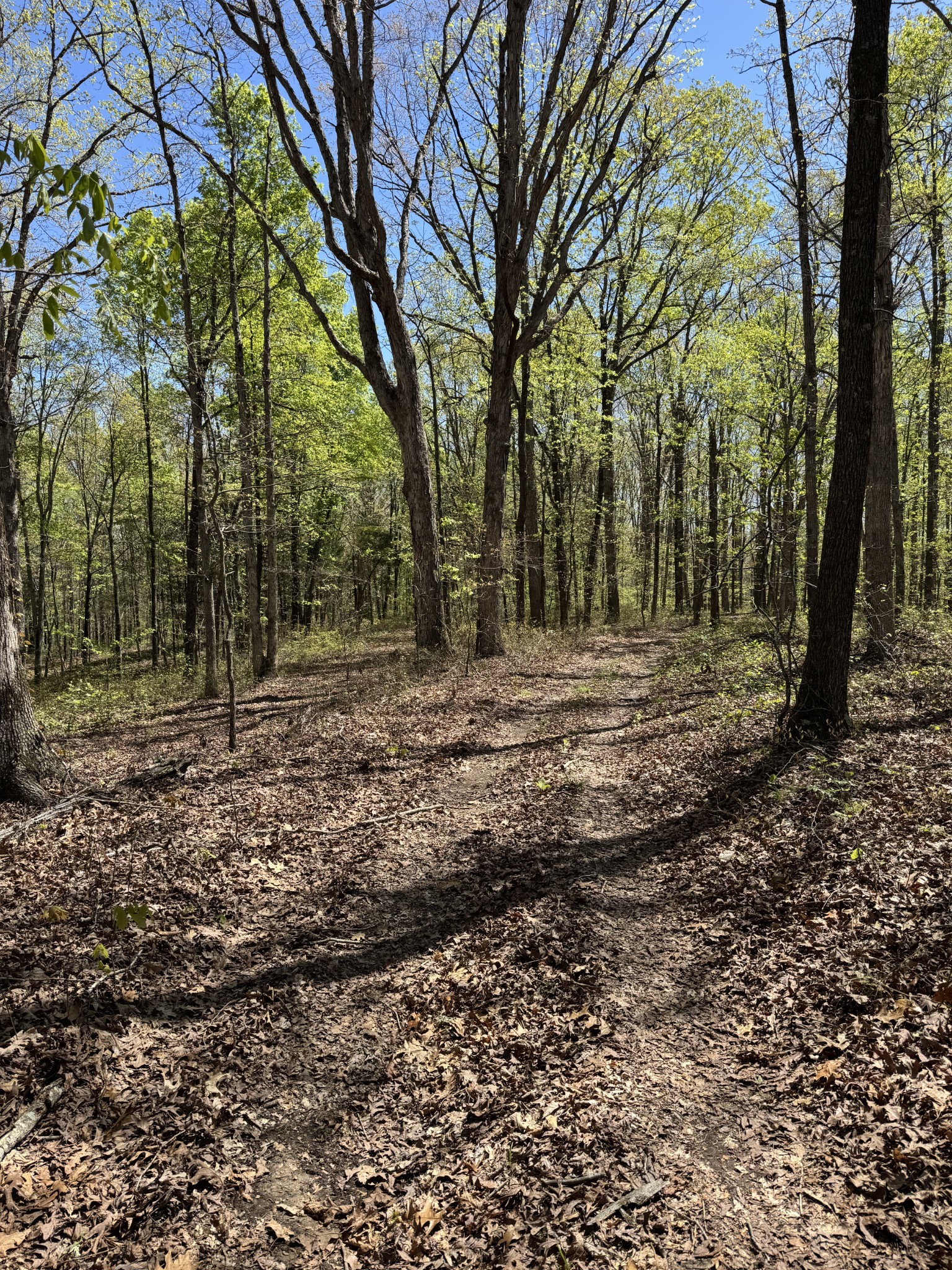 0 Indian Creek Road McEwen, TN 37101 - Photo 18 of 32 a view of outdoor space with trees