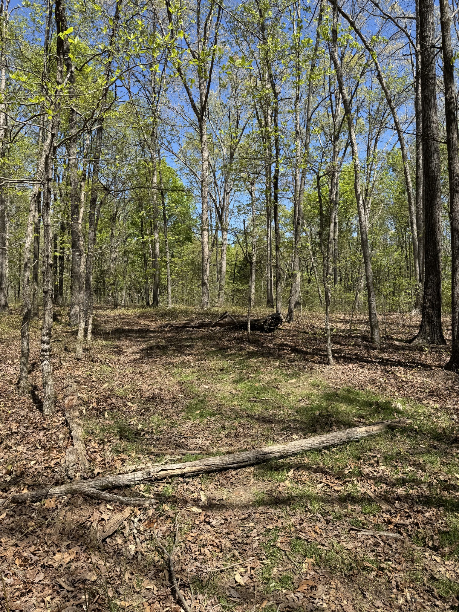 0 Indian Creek Road McEwen, TN 37101 - Photo 20 of 32 a backyard of a house with lots of green space