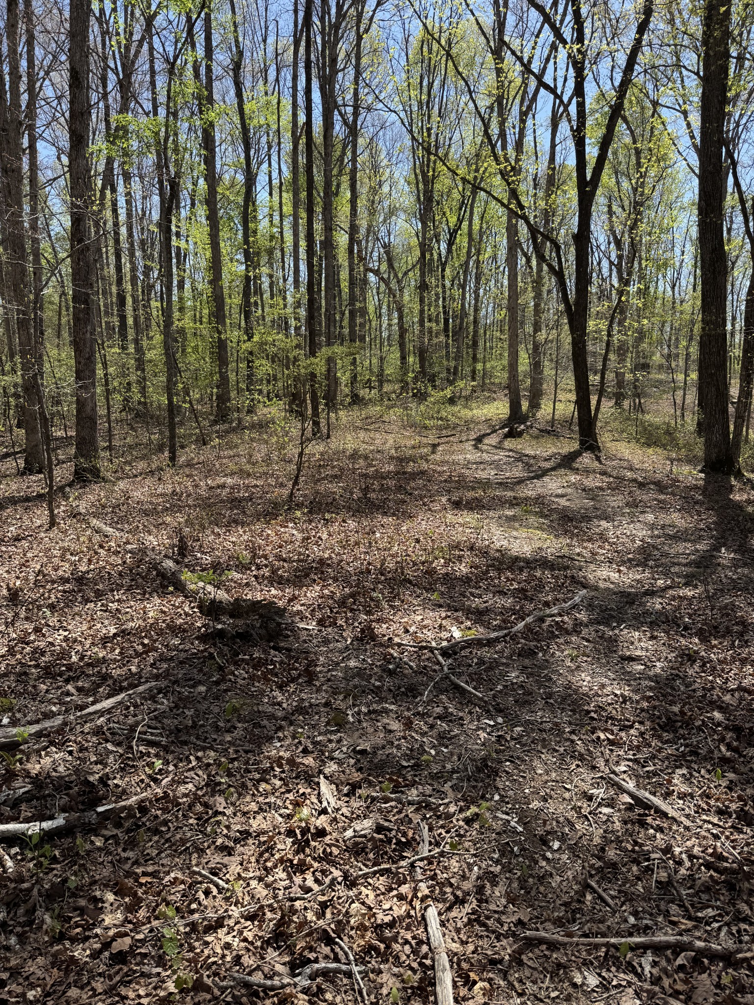 0 Indian Creek Road McEwen, TN 37101 - Photo 26 of 32 a view of a backyard with trees