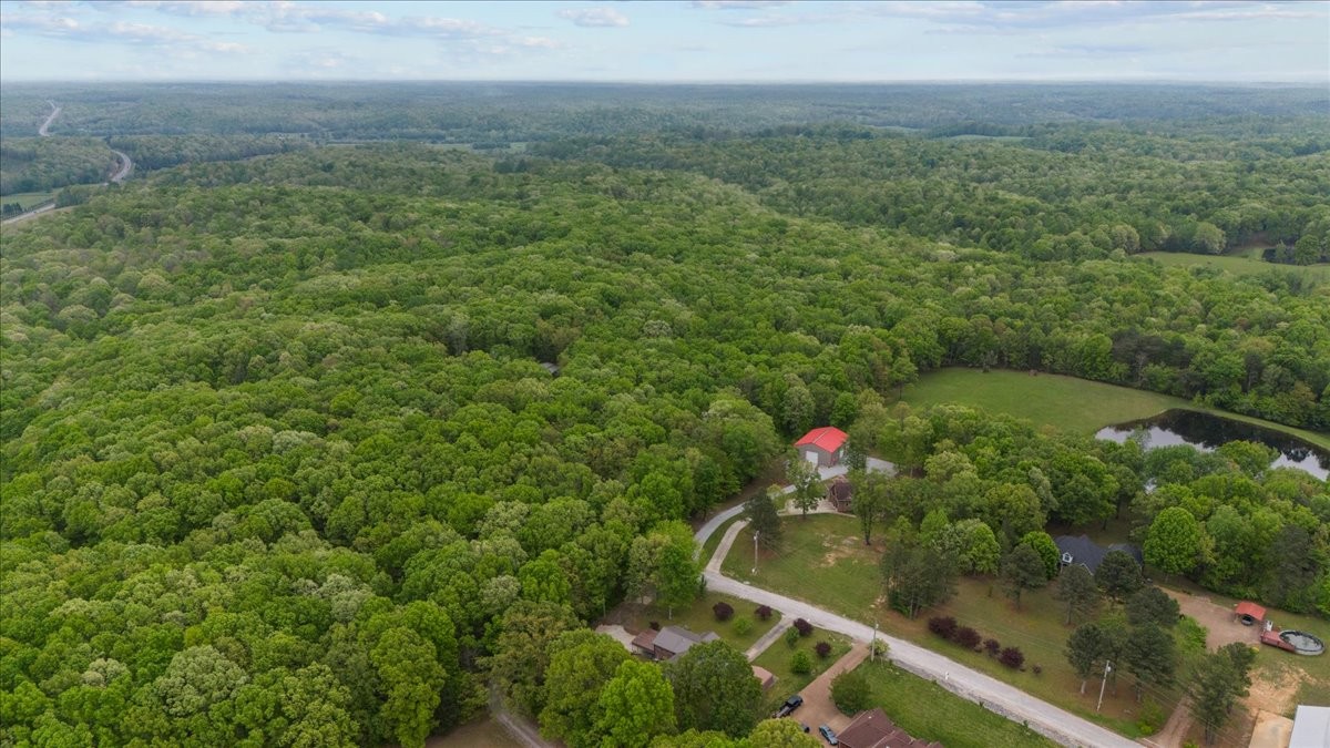 0 Indian Creek Road McEwen, TN 37101 - Photo 4 of 32 a view of a forest with a street