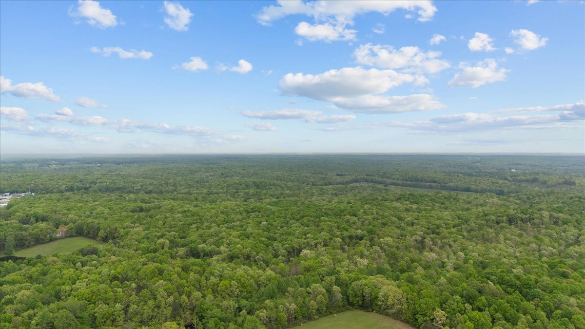 0 Indian Creek Road McEwen, TN 37101 - Photo 5 of 32 a view of a green field
