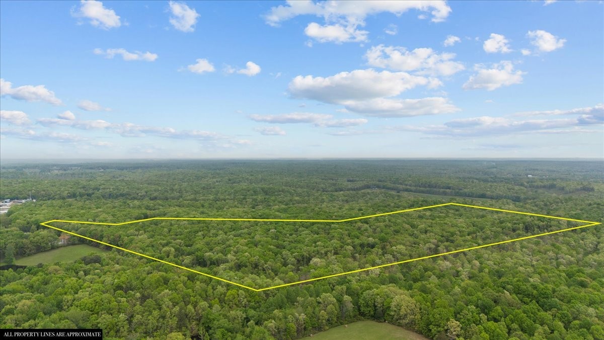 0 Indian Creek Road McEwen, TN 37101 - Photo 6 of 32 a view of a tennis court