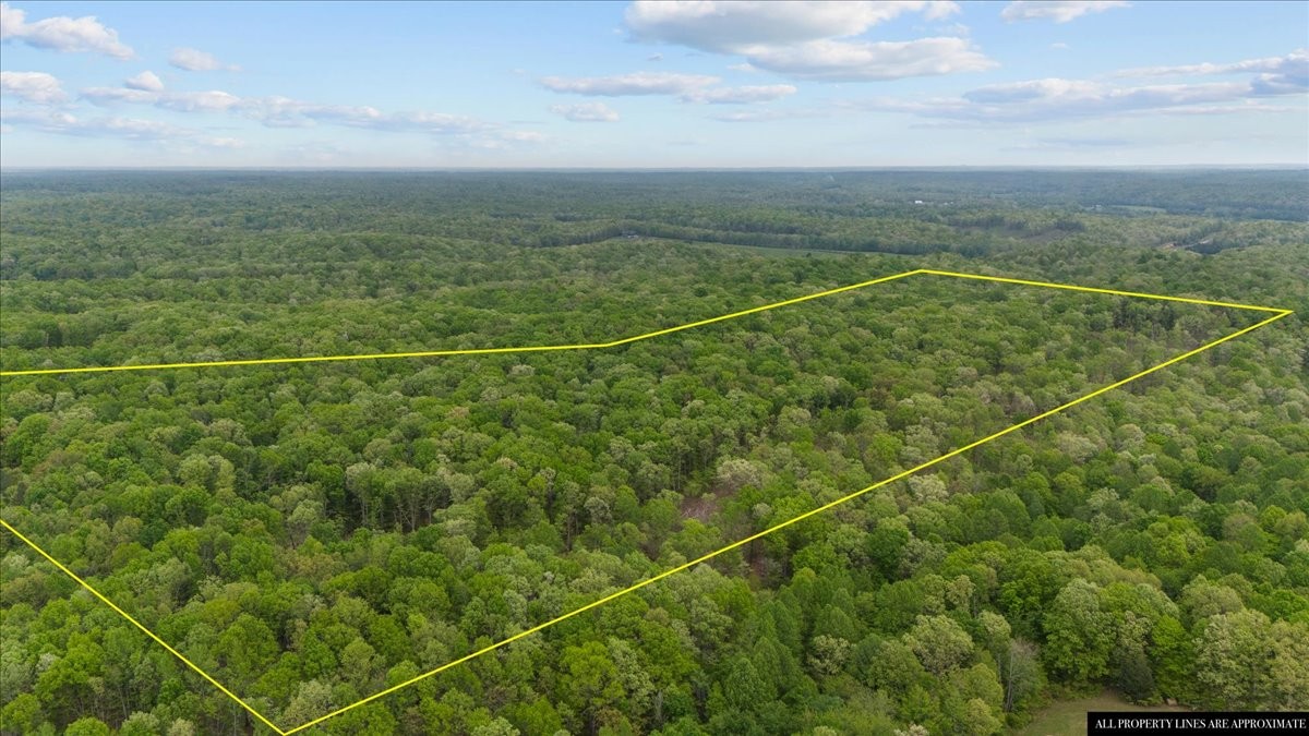 0 Indian Creek Road McEwen, TN 37101 - Photo 8 of 32 a view of a tennis court