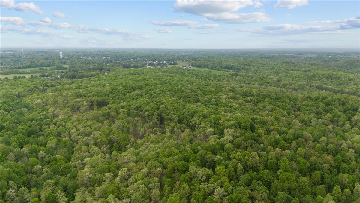 0 Indian Creek Road McEwen, TN 37101 - Photo 9 of 32 a view of a green field with lots of bushes