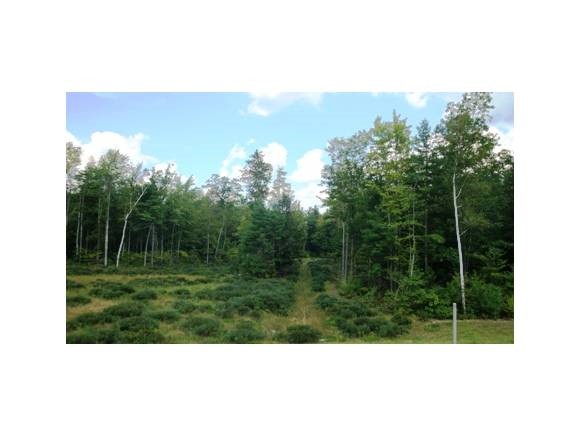 68 Falcon Ridge Road, Unit 44 Milford, NH 03055 - Photo 10 of 14
