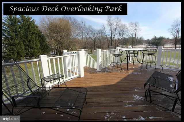 a view of a park with large trees