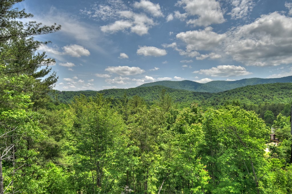 401 Foster Cove Road Epworth, GA 30541 - Photo 11 of 51 a view of a bunch of trees