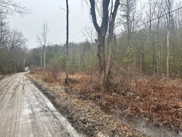 $45,000 | 0 Spring Road South, Dansville, NY 14437