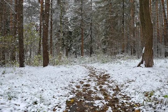 $45,000 | 0 Spring Road South, Dansville, NY 14437