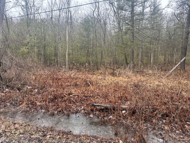 0 Spring Road South Dansville, NY 14437 - Photo 2 of 3