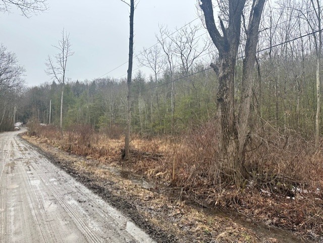 0 Spring Road South Dansville, NY 14437 - Photo 3 of 3