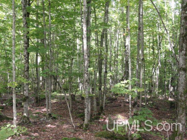 25404 West Kemppainen Road Covington, MI 49919 - Photo 10 of 17