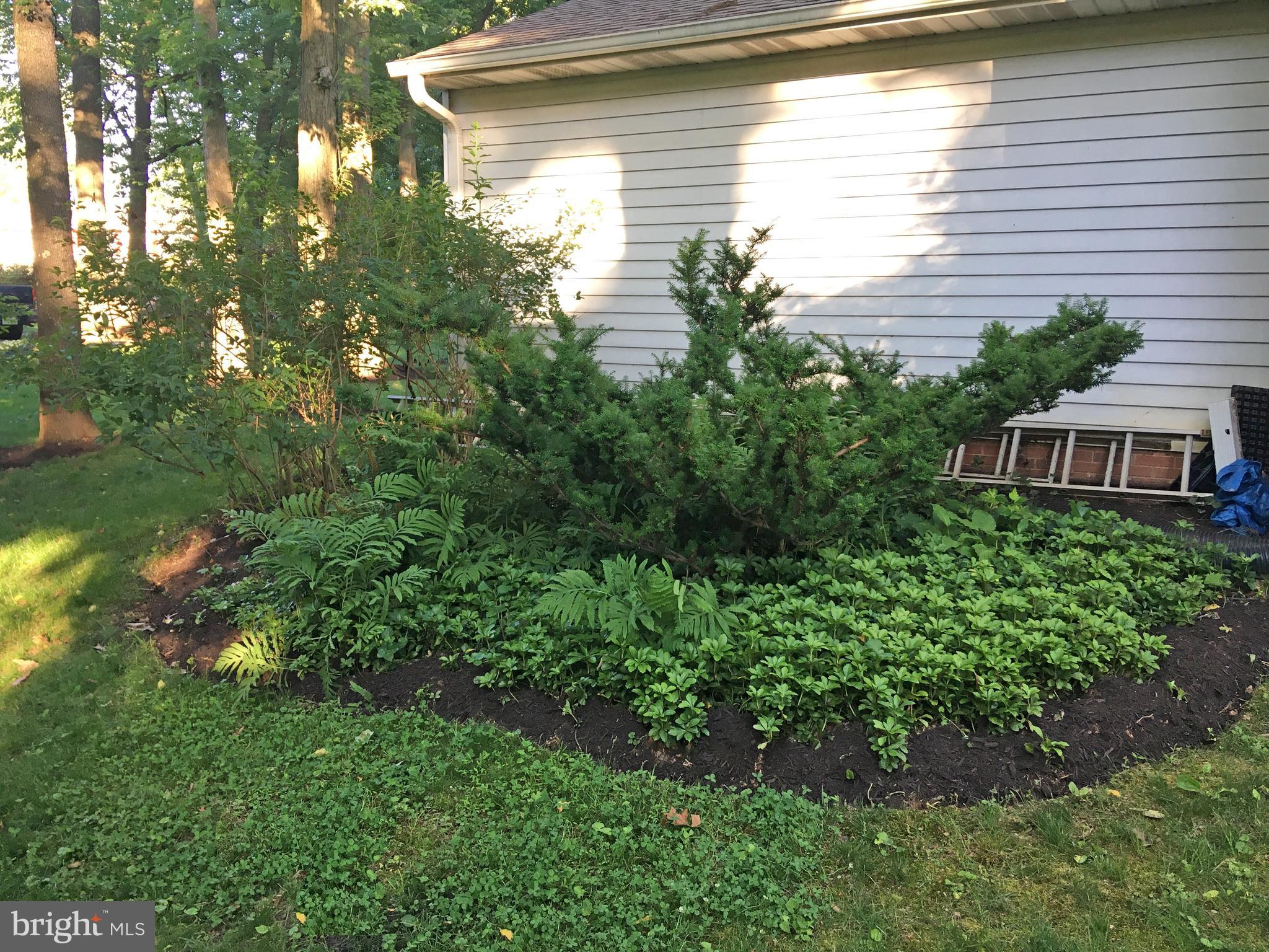 16400 Kipling Road Derwood, MD 20855 - Photo 21 of 24 Landscaping