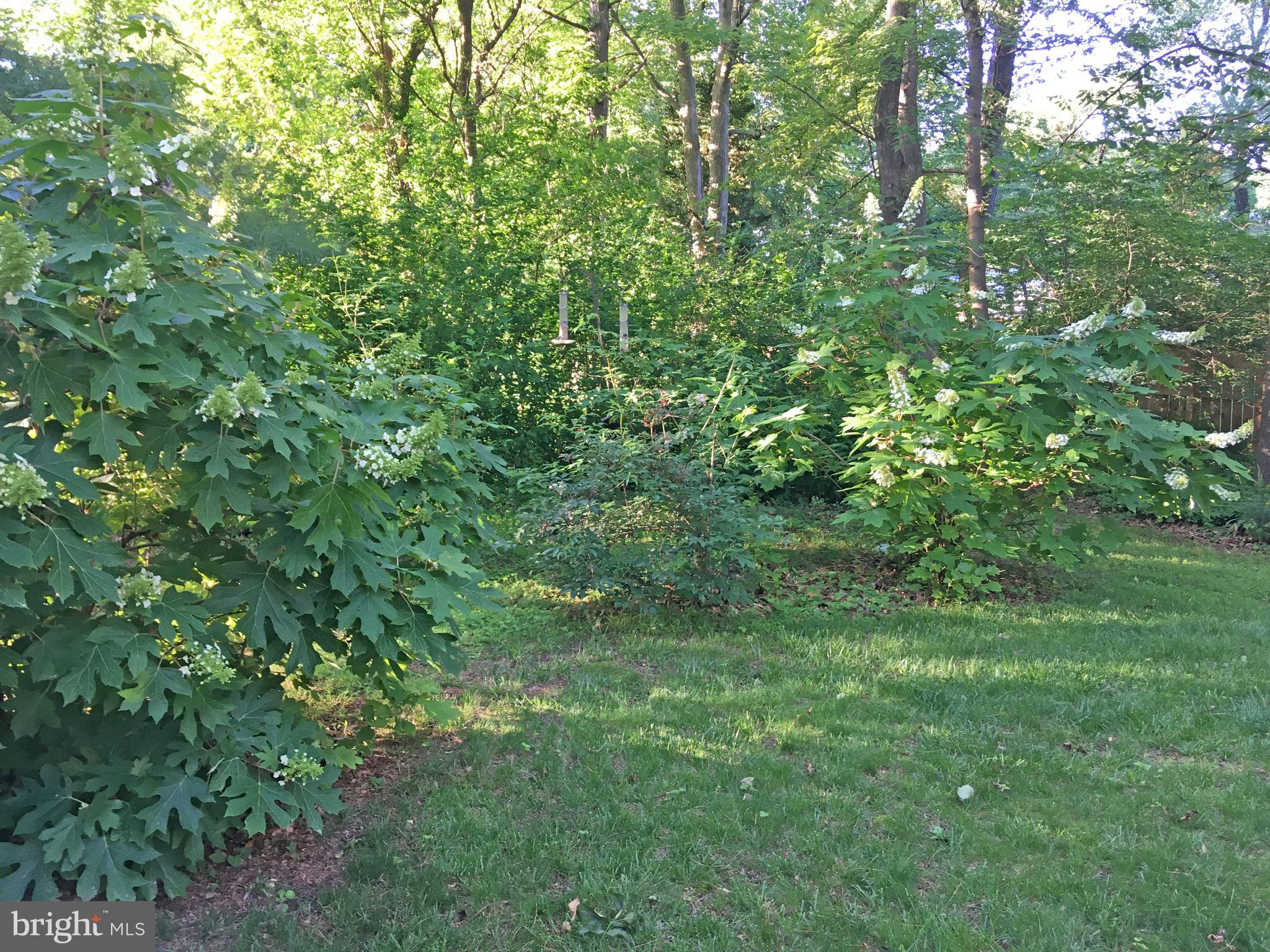 16400 Kipling Road Derwood, MD 20855 - Photo 23 of 24 Landscaping