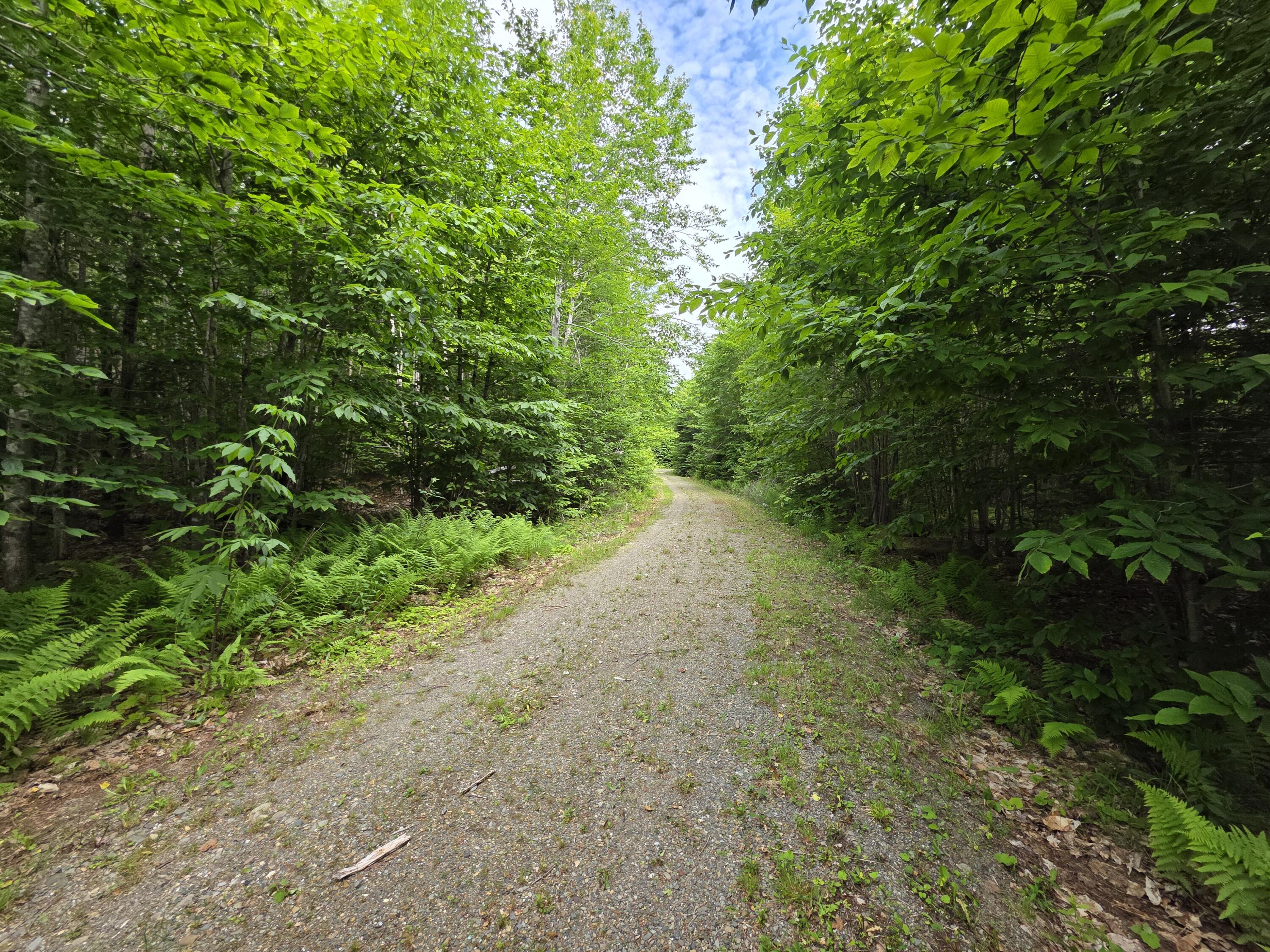 Lot 30 Rosewood Haven Springfield, ME 04487 - Photo 25 of 25 20250626_095802