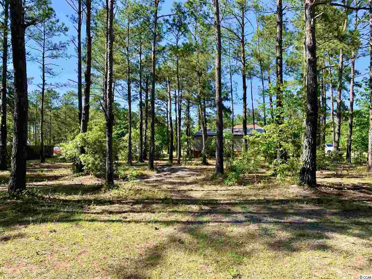 856 Mcnabb Shortcut Road Loris, SC 29569 - Photo 20 of 20 Gallery Image 20