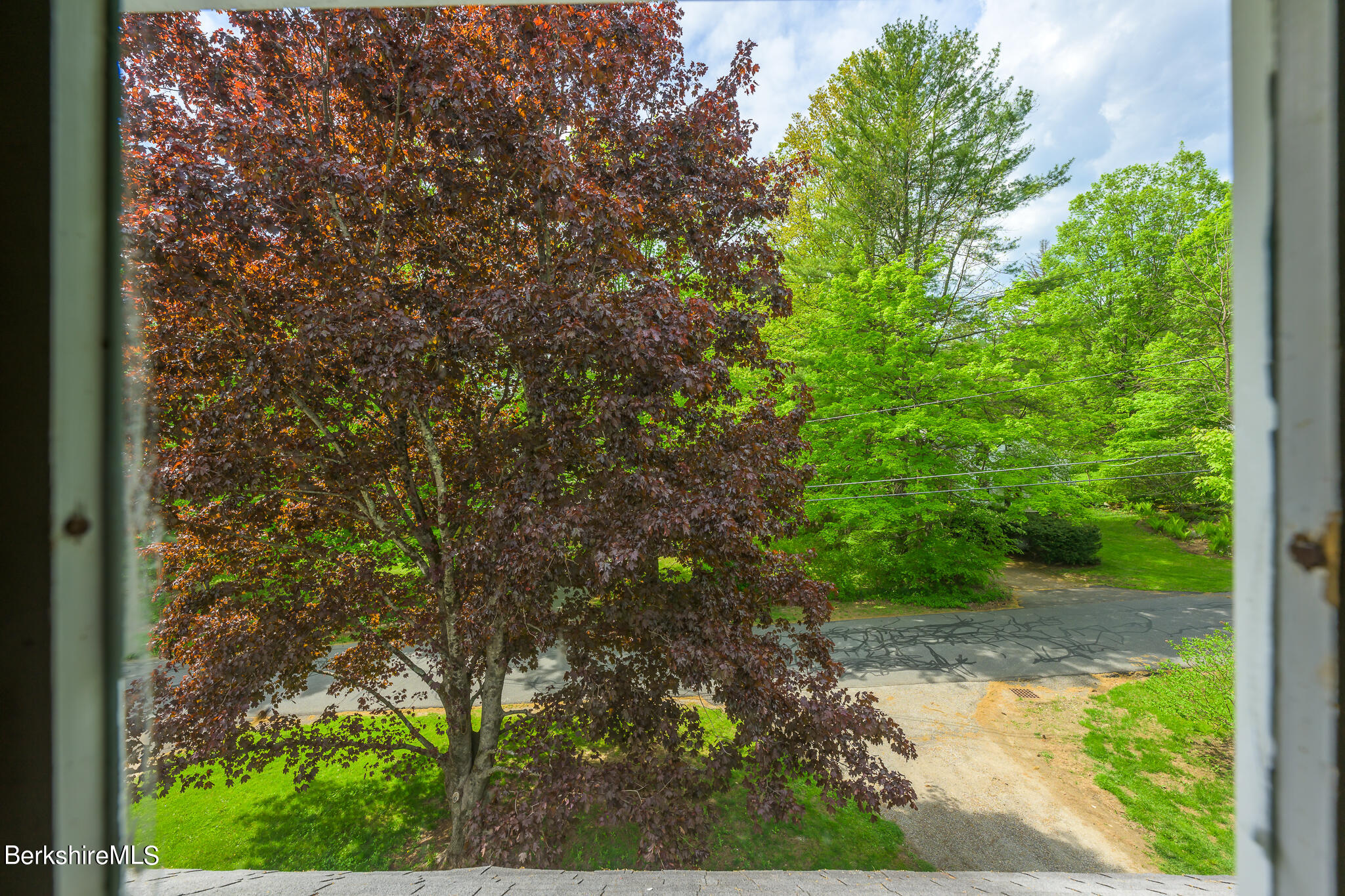 16 Yale Hill Road Stockbridge, MA 01262 - Photo 30 of 55 Fantastic view overlooking tree