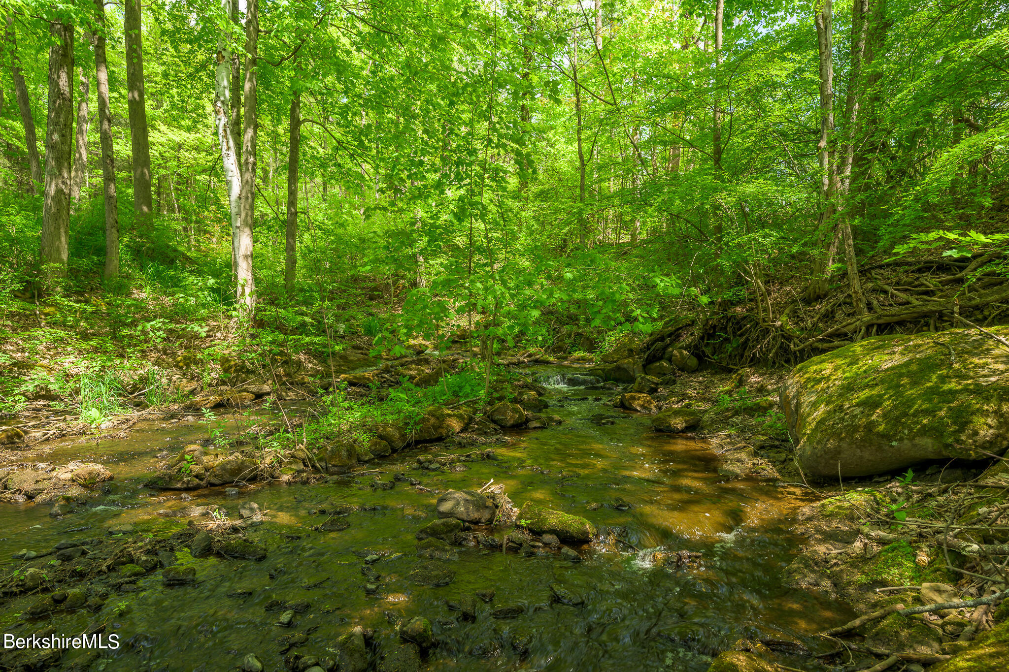 16 Yale Hill Road Stockbridge, MA 01262 - Photo 51 of 55 The Brook