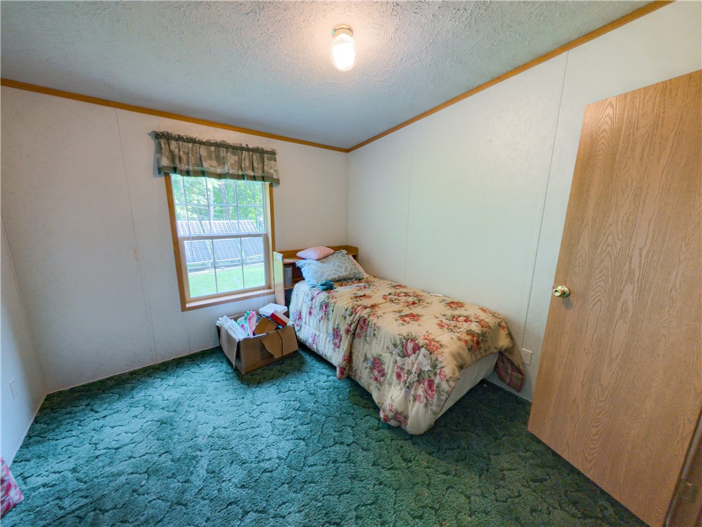 8699 Mattoon Road Cohocton, NY 14826 - Photo 25 of 43