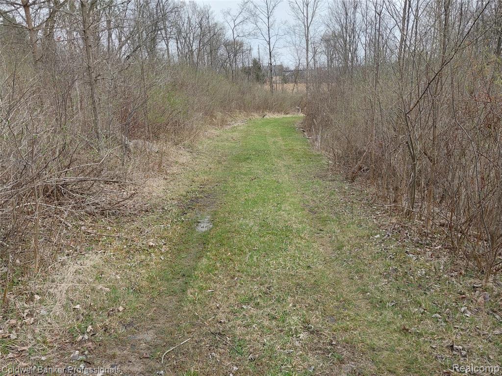 Vl Rattle Run Road St. Clair, MI 48079 - Photo 9 of 45 Gallery Image 9