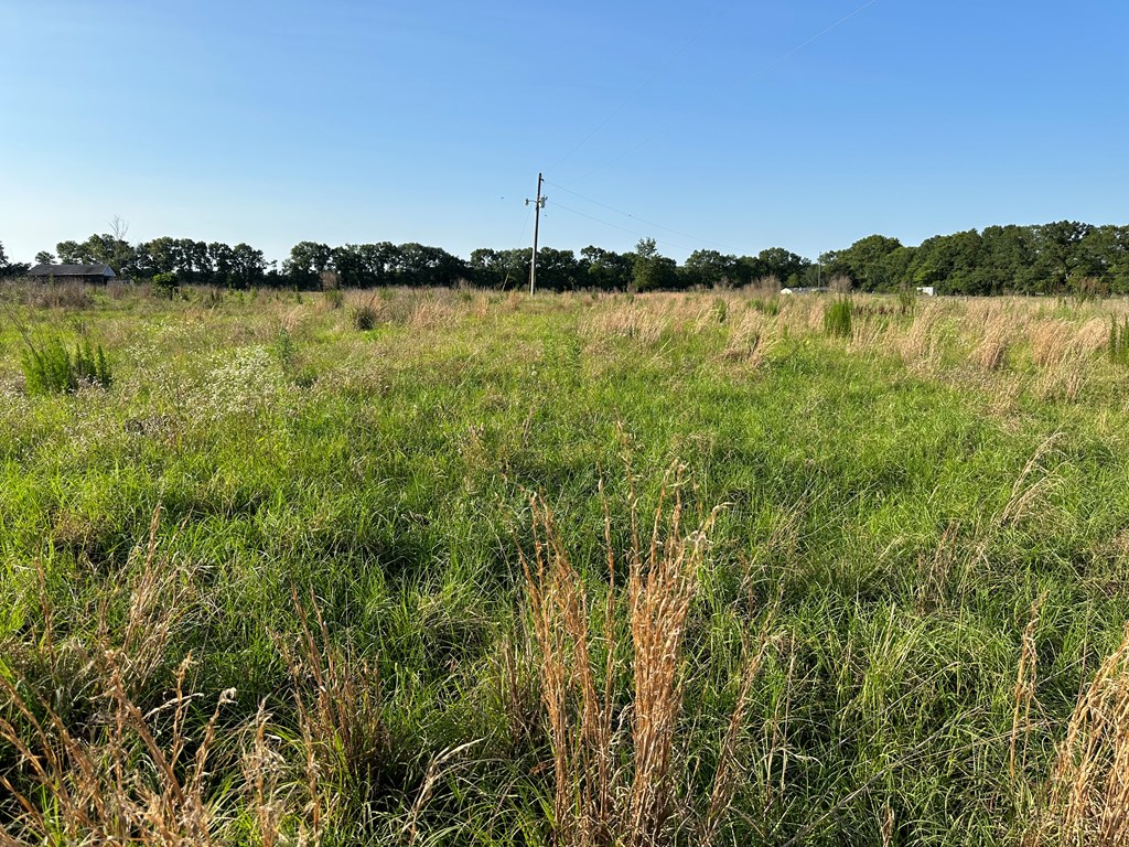 761 Rehobeth Road Dothan, AL 36301 - Photo 7 of 12