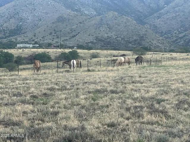 $710,000 | 6100 East Darley Drive, Hereford, AZ 85615