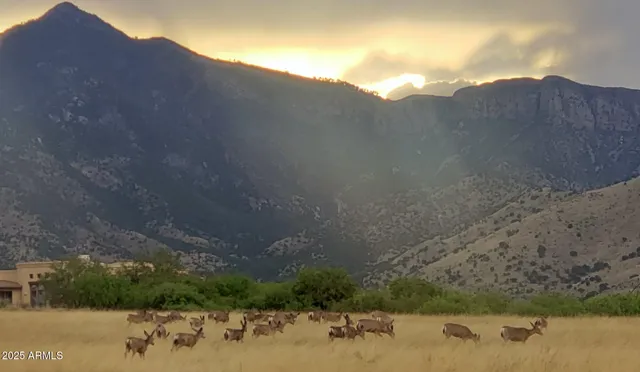 $710,000 | 6100 East Darley Drive, Hereford, AZ 85615