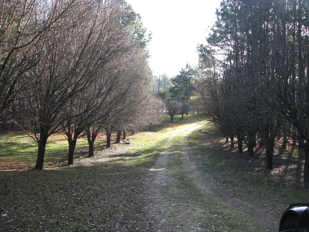 1071 Jones Martin Road Lincolnton, GA 30817 - Photo 16 of 18 Gallery Image 16