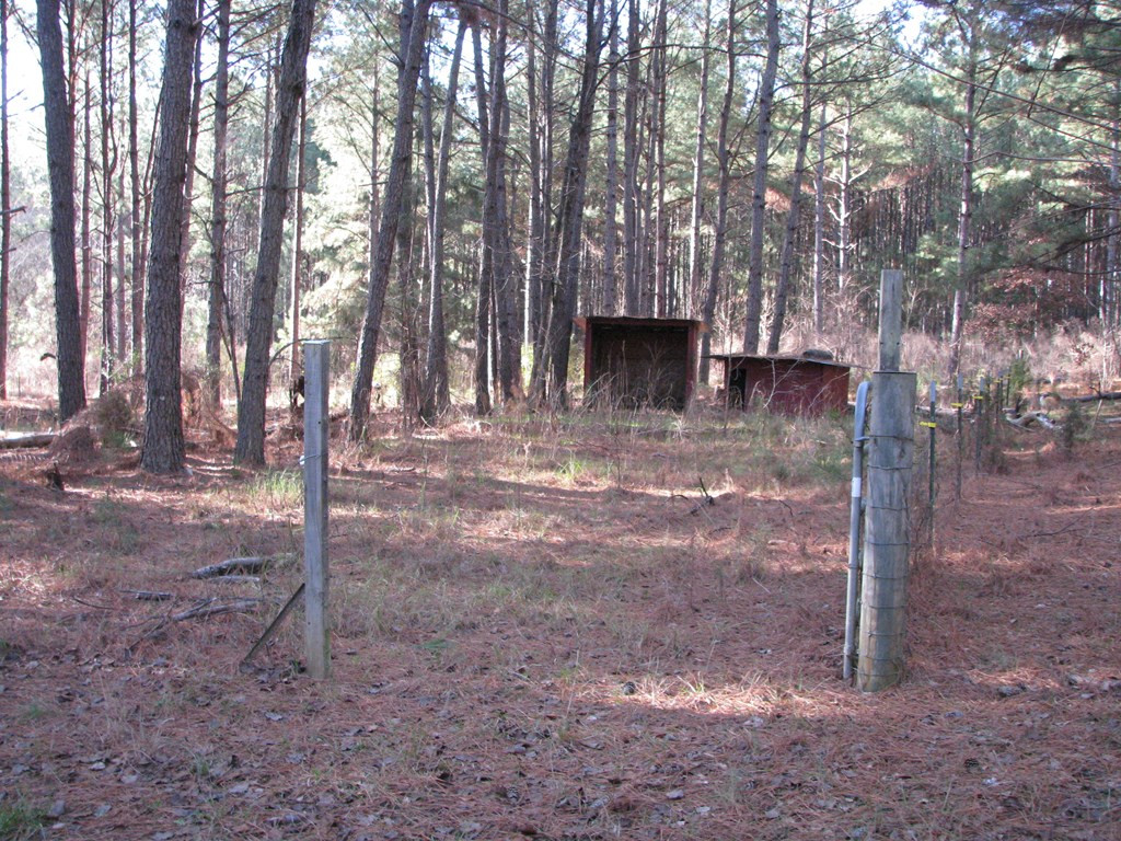 1071 Jones Martin Road Lincolnton, GA 30817 - Photo 17 of 18 Gallery Image 17