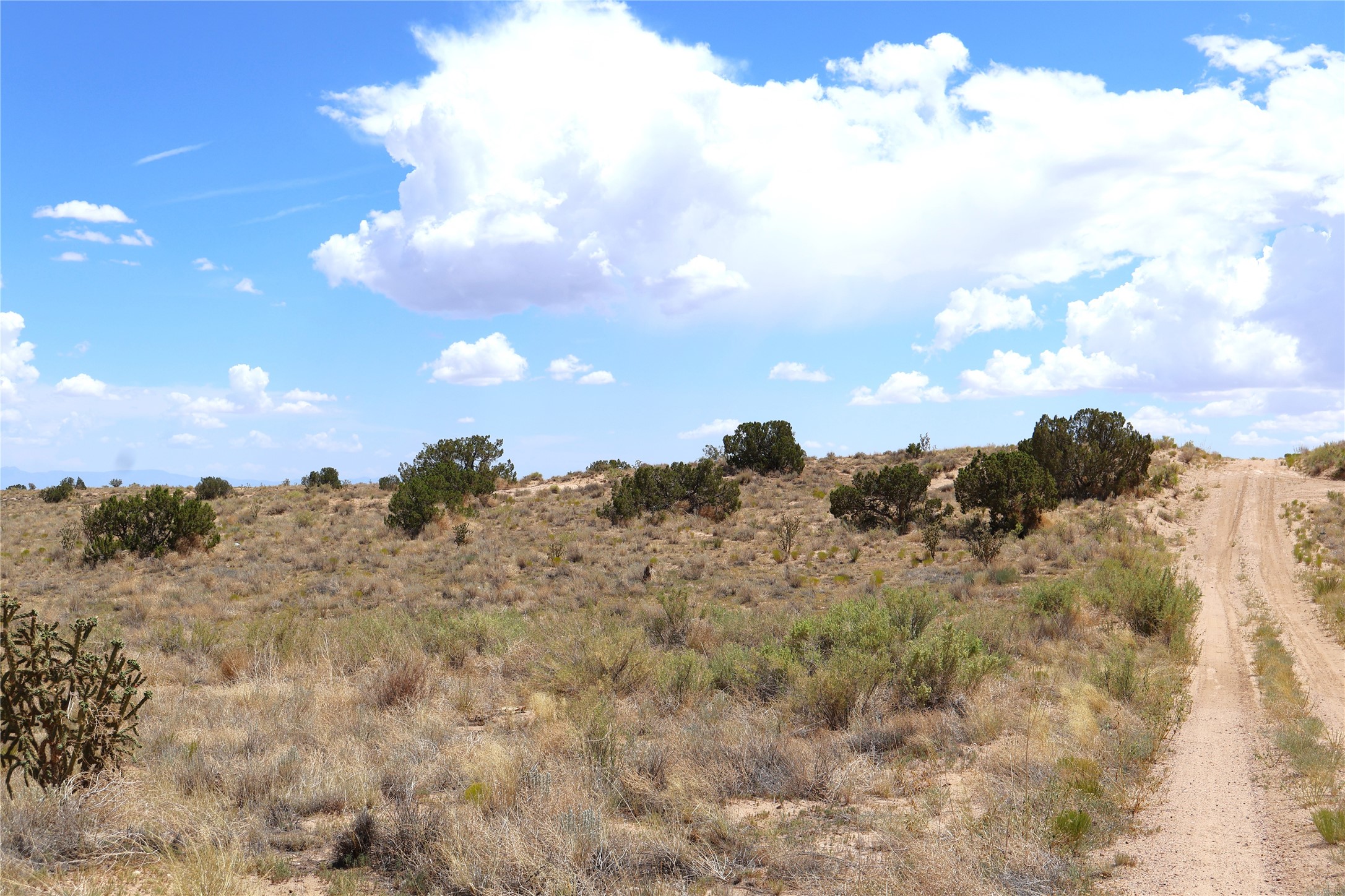 Rio Rancho Estates Rio Rancho Estates Southwest Rio Rancho, NM 87124 - Photo 2 of 6