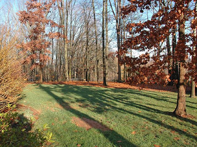 132 Charping Lane Anderson, SC 29621 - Photo 3 of 5