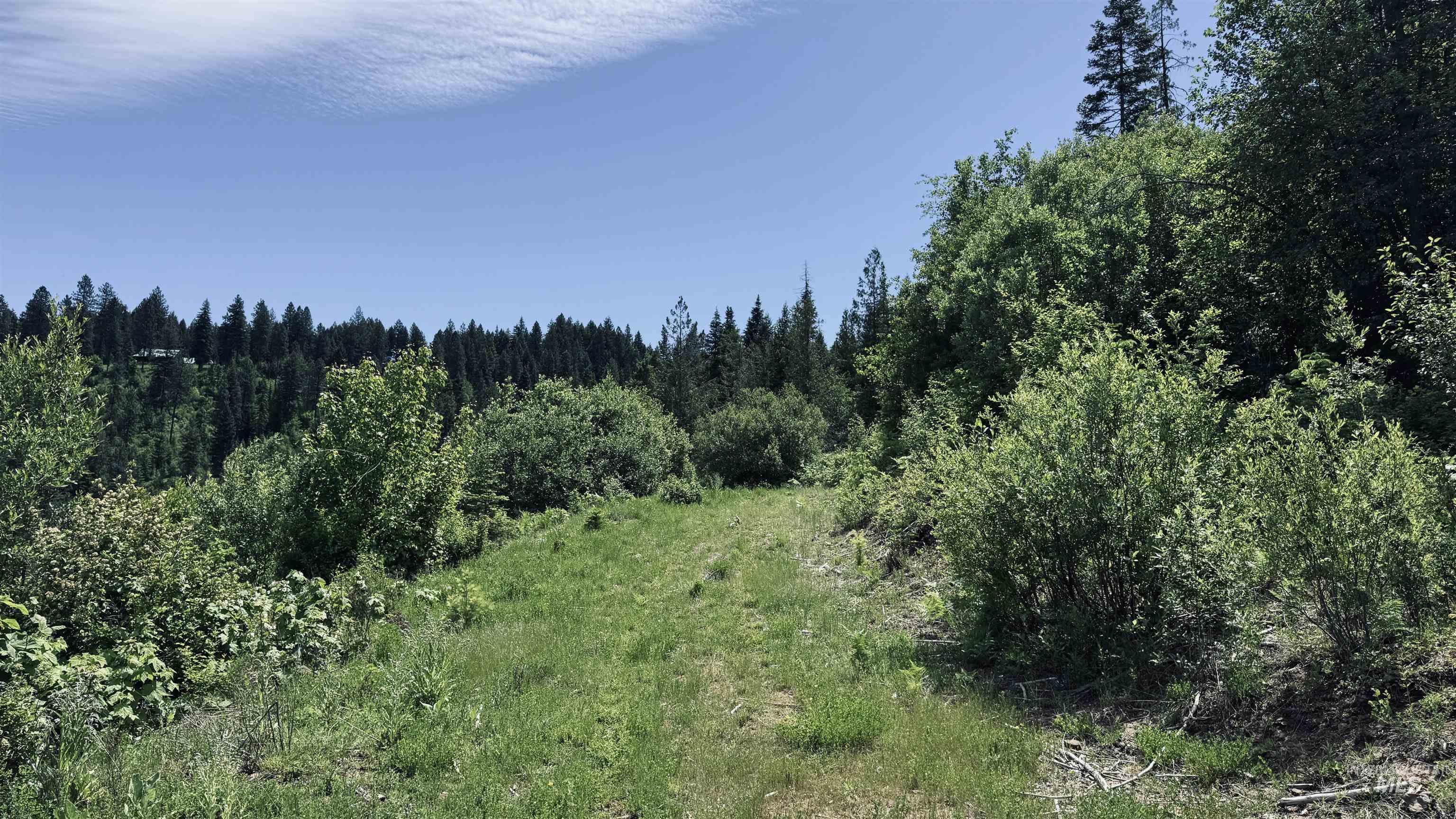 Tbd Glenwood Road Kamiah, ID 83536 - Photo 17 of 50