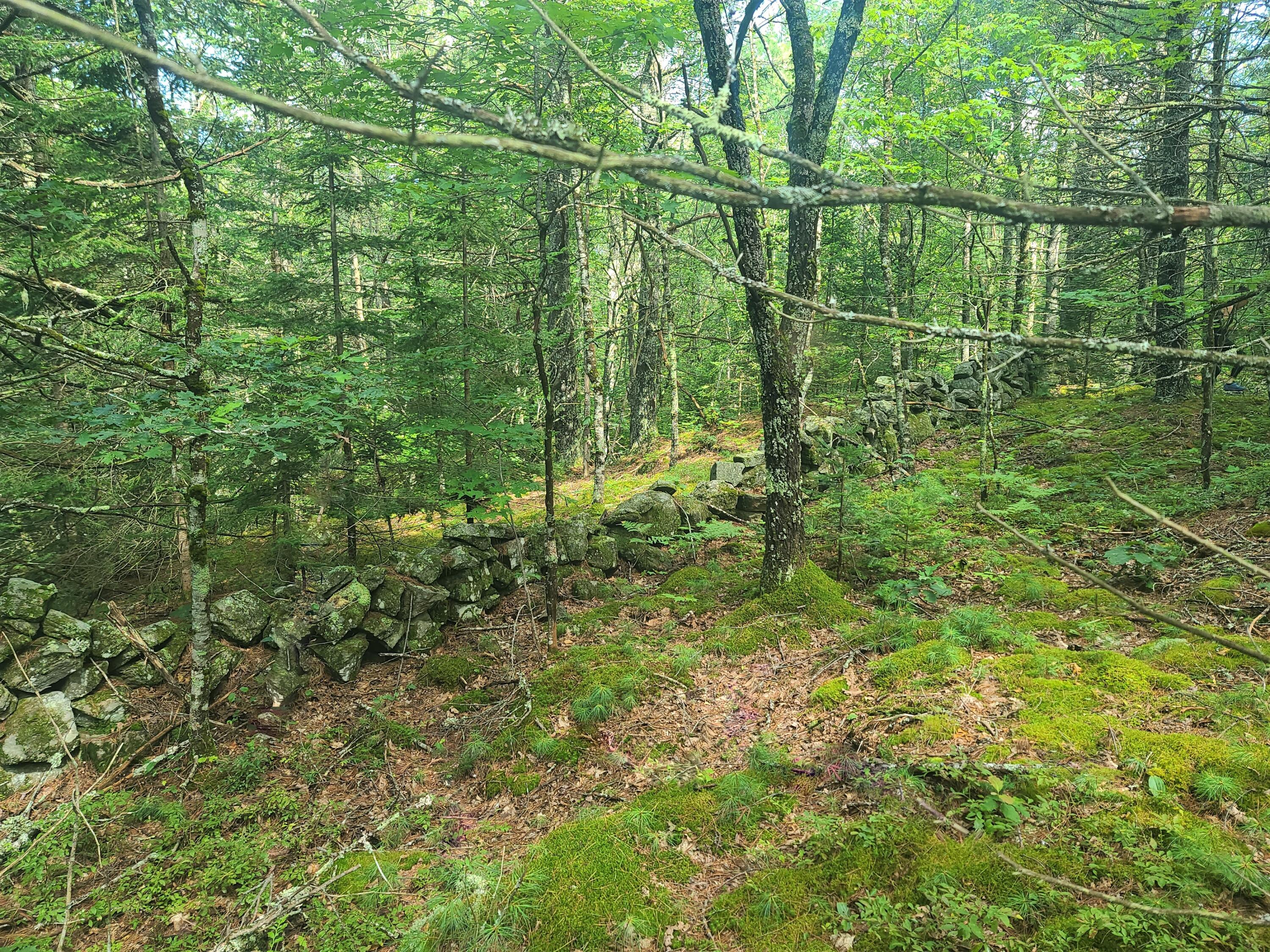 191 Indian Road Wiscasset, ME 04578 - Photo 117 of 123 20230811_104508